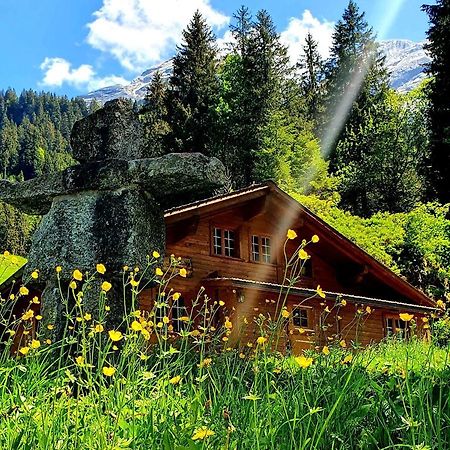 Alpenlodge Willigen Buitenkant foto