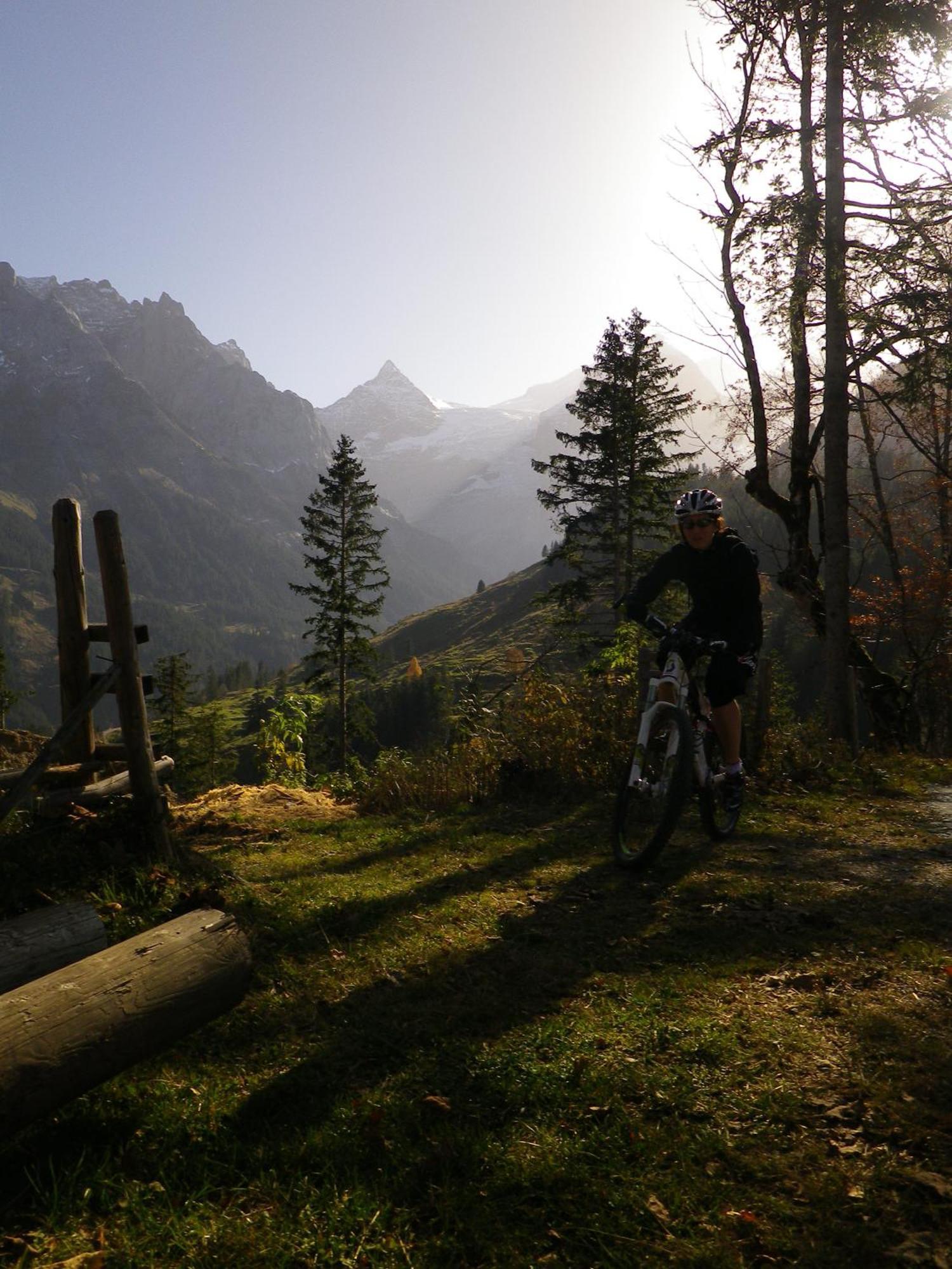 Alpenlodge Willigen Buitenkant foto