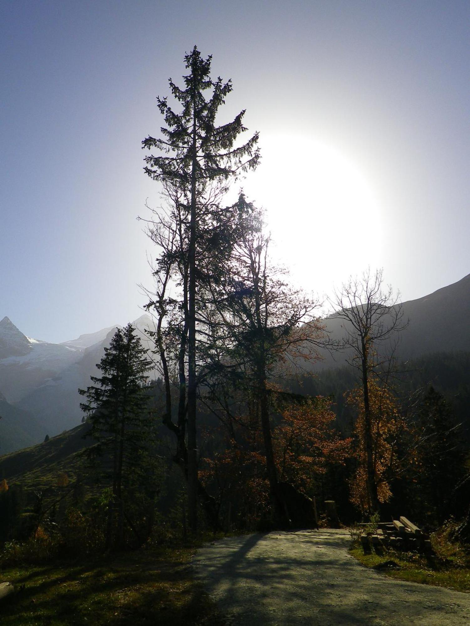 Alpenlodge Willigen Buitenkant foto