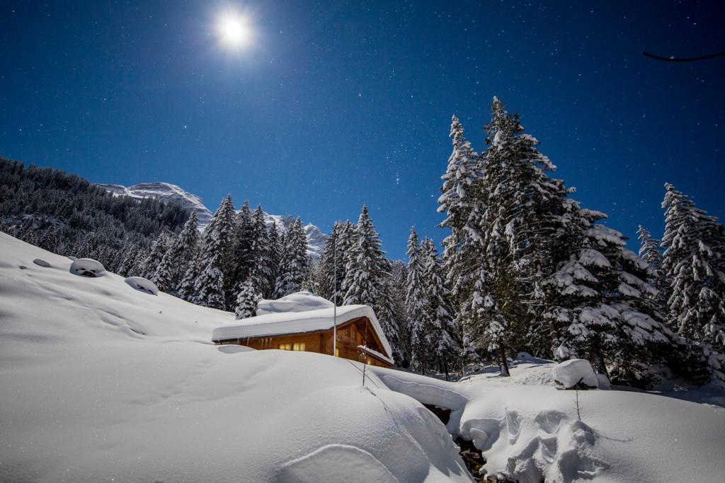Alpenlodge Willigen Buitenkant foto