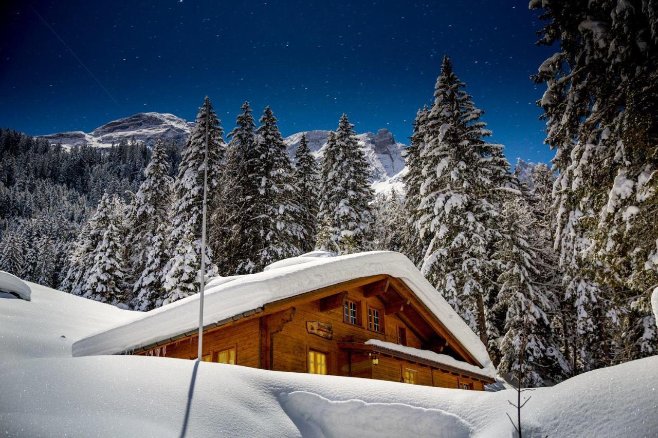 Alpenlodge Willigen Buitenkant foto
