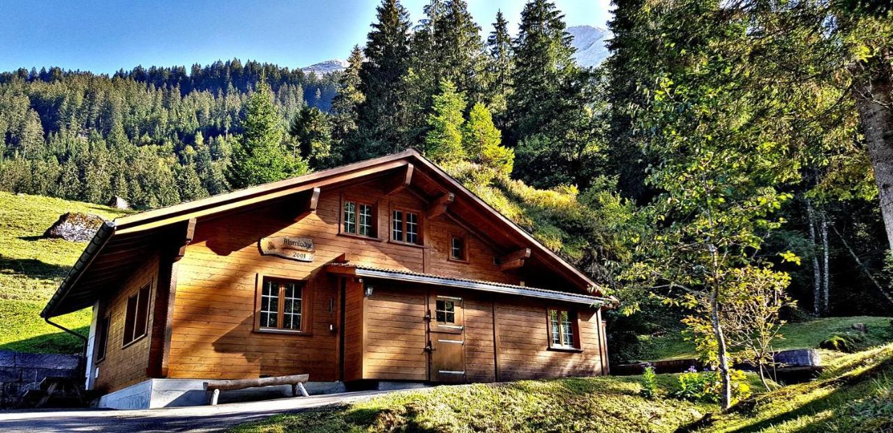 Alpenlodge Willigen Buitenkant foto