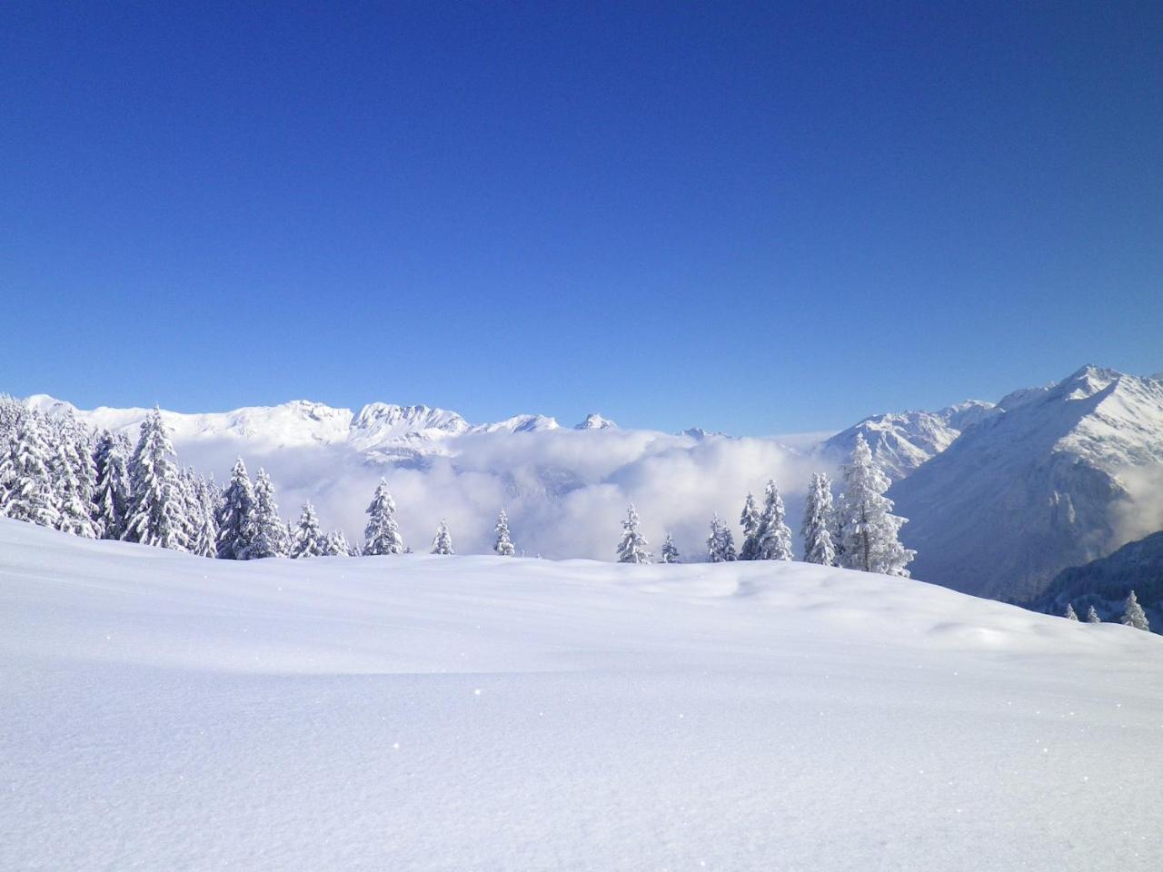 Alpenlodge Willigen Buitenkant foto