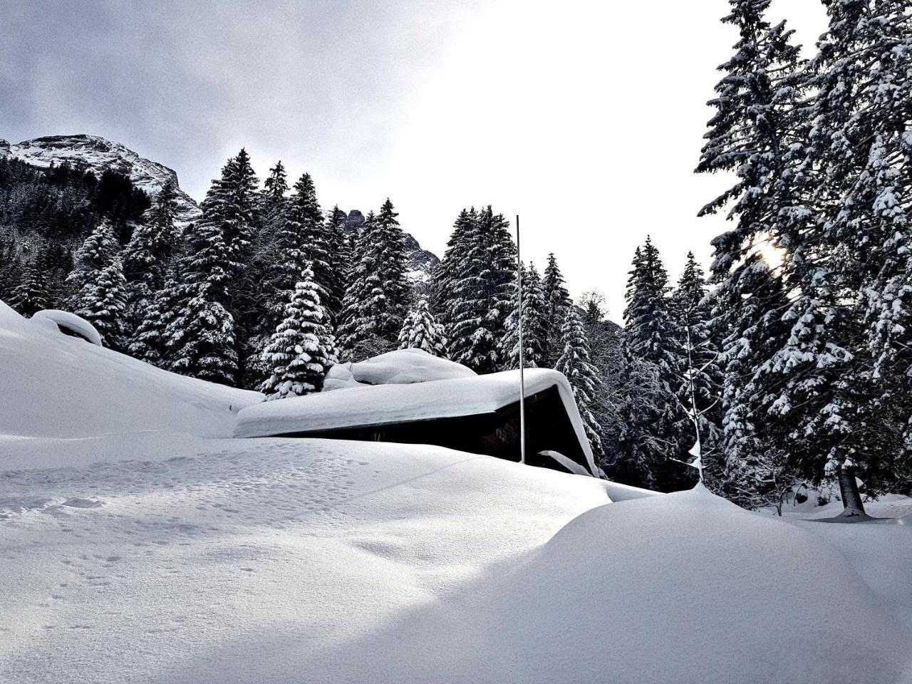 Alpenlodge Willigen Buitenkant foto
