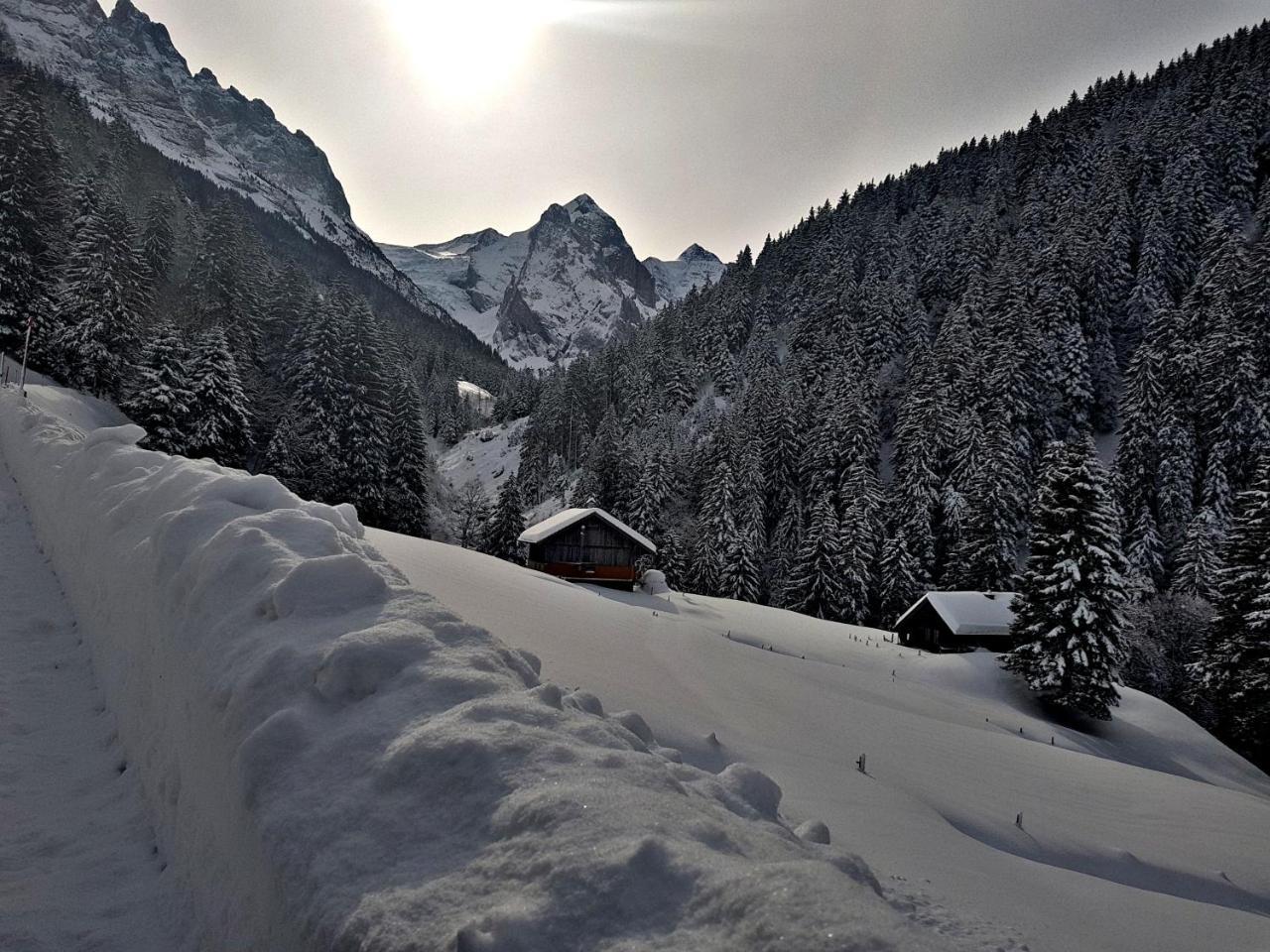 Alpenlodge Willigen Buitenkant foto
