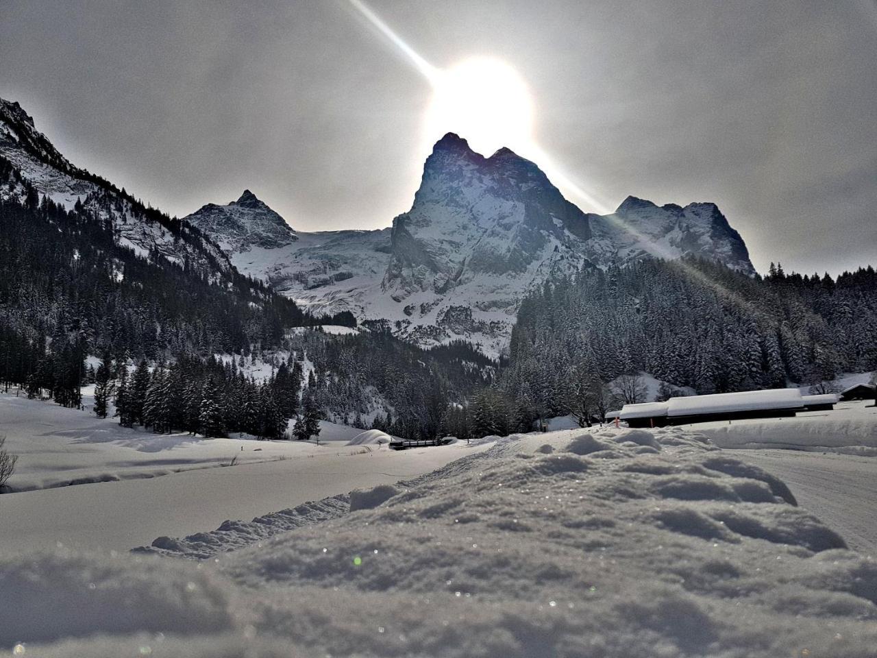 Alpenlodge Willigen Buitenkant foto