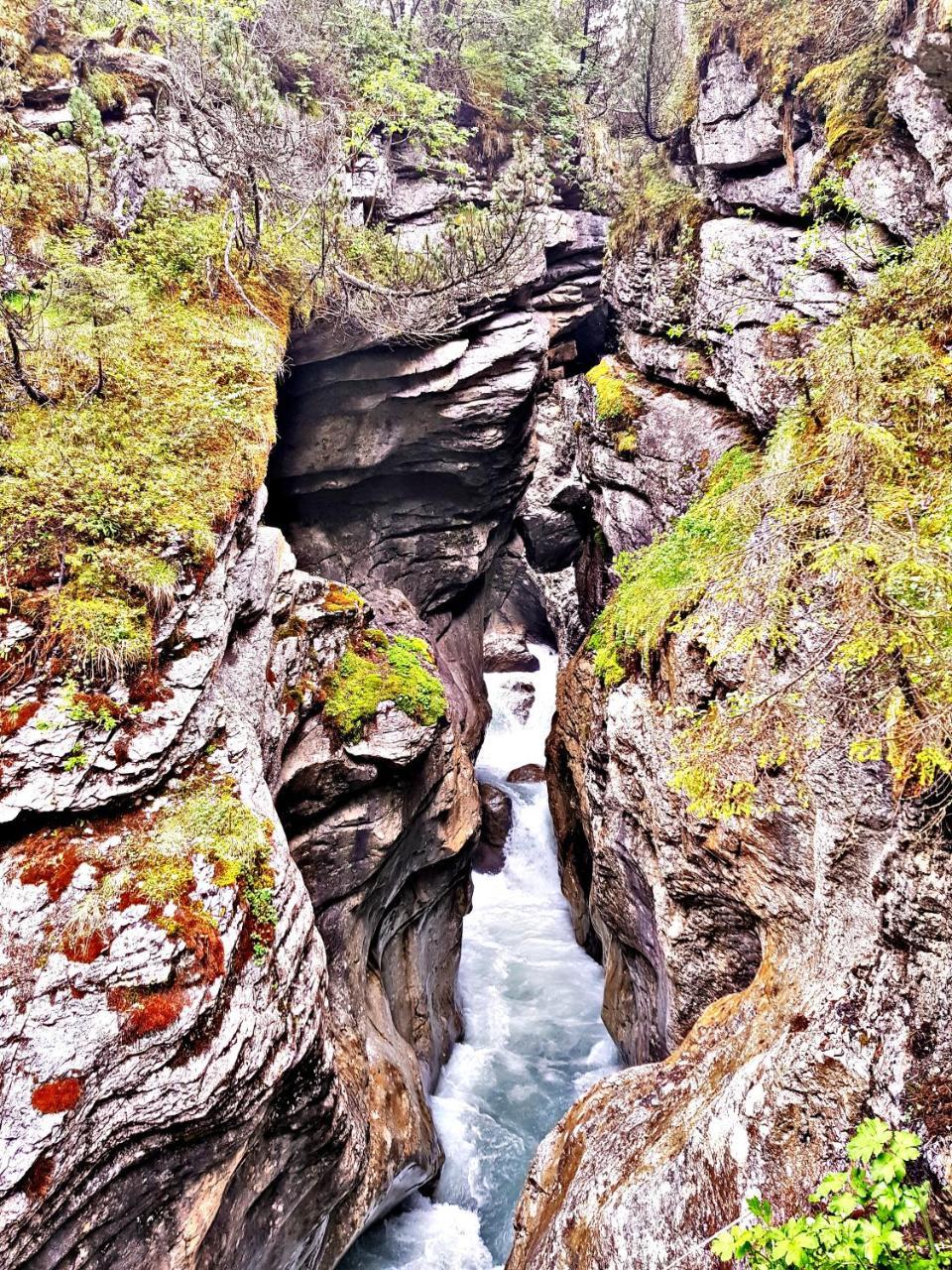 Alpenlodge Willigen Buitenkant foto