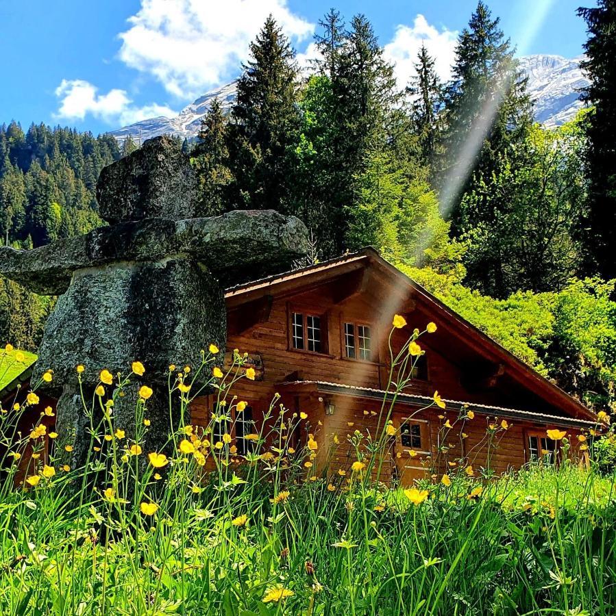 Alpenlodge Willigen Buitenkant foto