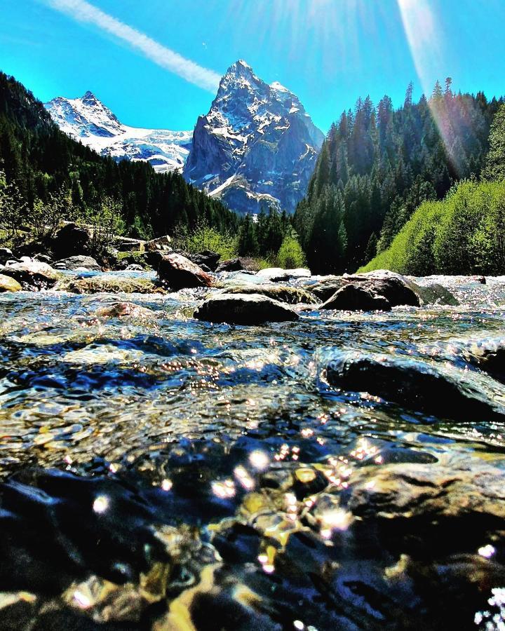 Alpenlodge Willigen Buitenkant foto